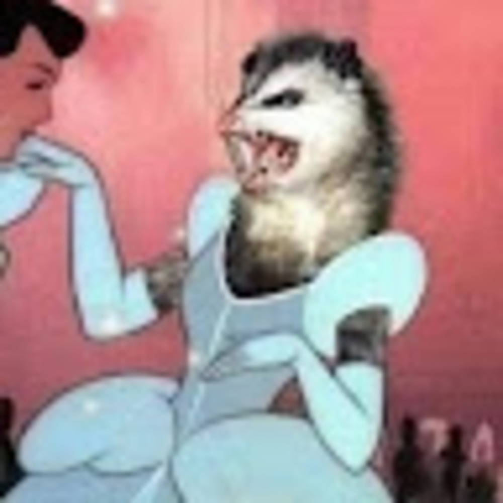 Meet your Posher, Bri